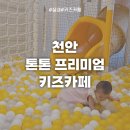 톤톤프리미엄키즈카페 | 천안 아기랑 갈만한 곳｜백석동 톤톤 프리미엄 키즈카페 9개월 아기 방문 후기