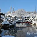 대전스카이연합，세종스카이 이미지