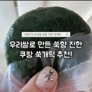쑥향당 | 쿠팡 쑥개떡 추천! 시루조아 우리쌀 쑥향 가득 쑥개떡 내돈내산 솔직후기