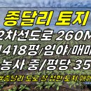 토지2-230[ 도로 잘 접한 농취증 필요없는 임야, 평당35! 구좌읍 종달리 토지 매매(1,418평/2차선도로 260M/농사 중) ] 이미지