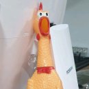 뉴해모수 이미지