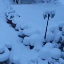 다향펜션 이미지