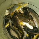 항포낚시터 이미지