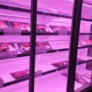 안씨고집 이미지