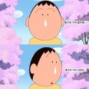 벚꽃이 날리는 청량한 하늘, 봄날의 좋은 경치