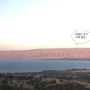 축복 티스토리