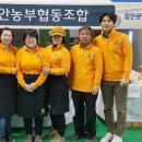백세농업 이미지