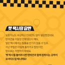 대구 펫 택시 이미지