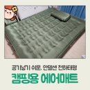 천하태평 | 안델센 천하태평 캠핑용 공기넣기 쉬운 에어매트 언박싱 후기