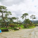 카페자연 이미지