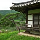 쉽게 읽는 퇴계의 한시(7)