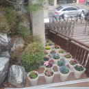 선일초등학교 이미지