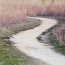 생의 공간 이미지