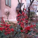 과천역 5번 출구 이미지