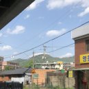 하띠농장 이미지