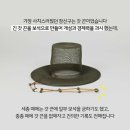 머리치장 이미지