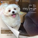 경태축산 이미지