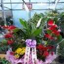 유현석치과의원 이미지