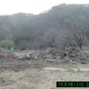 은계초등학교 이미지