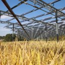 착한영농 이미지