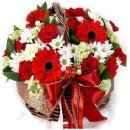 니드덴탈 이미지