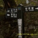 긴골 이미지