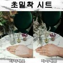 블랙스완마켓
