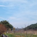 구(북안) 네이버블로그