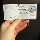 별마로 농장 | [강원도 영월] 동강오토캠핑장 A동 후기 및 여행기(내돈내산)