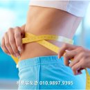 히포 유도장 이미지