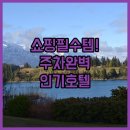 이편한호텔 | 퀸스타운 여행 필수 쇼핑 아이템 정리와 주차 편한 인기 호텔 이용 후기