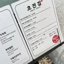 초전인력