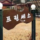 프린세스펜션 네이버블로그