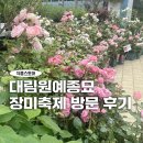 대림원예종묘 장미축제 방문 후기