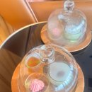 히든빌리지 | (태국/카오야이) 더히든빌리지 숙소 추천 내돈내산 후기 (The Hidden village) 4성급 리조트