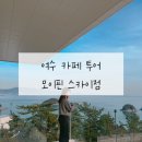 유래블