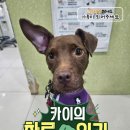 팅커벨 - 진주시 모덕로270번길 5 | 팅커벨