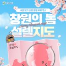 늘푸른주유소 | 마산 가포 동백 벚꽃길 창원 벚꽃명소 꽃구경 드라이브