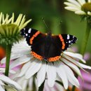 스테이 가정집 이미지