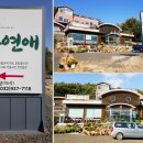 자연애오리 이미지