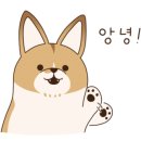 경원카모터스 이미지