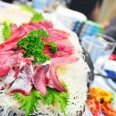 청년참치 Daum카페