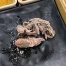 숲과오리 이미지