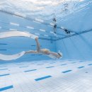 [09/23] 사진촬영 초급 과정(기초 사진 배우기) | [강의] 자격증 고민 중이라면 꼭 읽어보세요! 고고다이브 프리다이빙 초급 1+2 자격증 후기