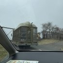 아프리카 | 후쿠오카 벳푸 아프리카 사파리 비 오는 날 솔직후기