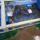 영덕수산시장 | 경북 영덕 동광어시장 회포장후기 영덕대게 영덕수산시장