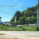 도로시하우스 이미지