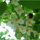 양촌중학교 이미지