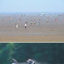 화도초등학교 장화분교 이미지