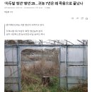 귀농한 29세 청년, 지역 텃세에 시달리다 결국 자살 이미지